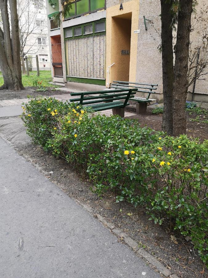 Natasa Apartman Orosháza Exterior foto
