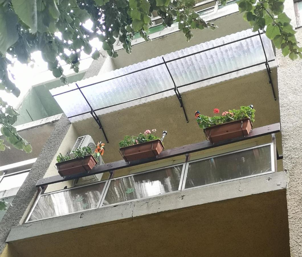Natasa Apartman Orosháza Exterior foto